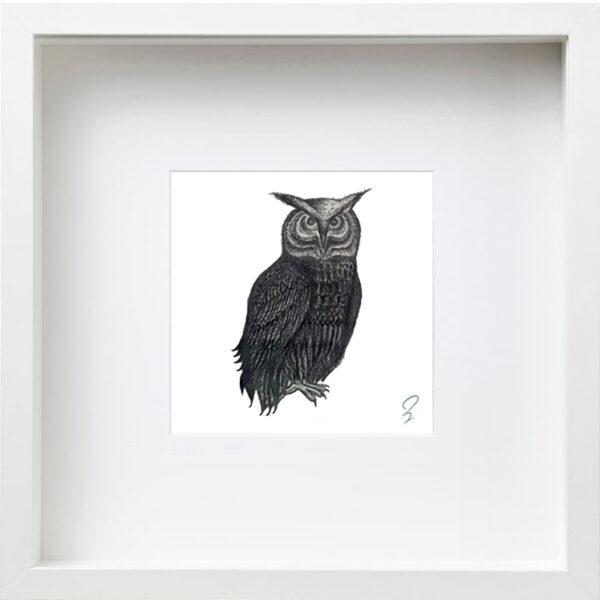 “Owl” Charcoal Drawing 23x23cm by Zak Kirakosian